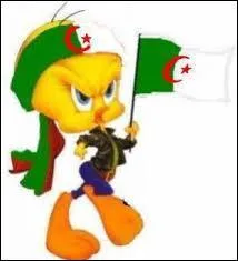 Là, Titi est pour :