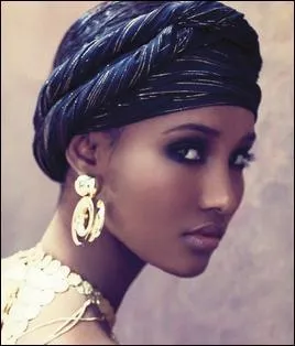 La ''Lily'' de Pierre Perret arrivait des Somalies... Mais pourquoi donc venait-elle de son plein gré à Paris ?