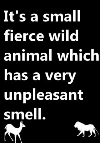 Quelle est la bonne réponse ?