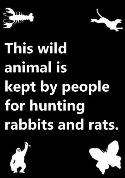 Quelle est la bonne réponse ?