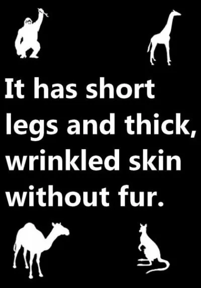 Quelle est la bonne réponse ?