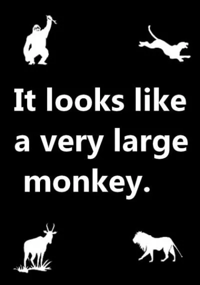 Quelle est la bonne réponse ?