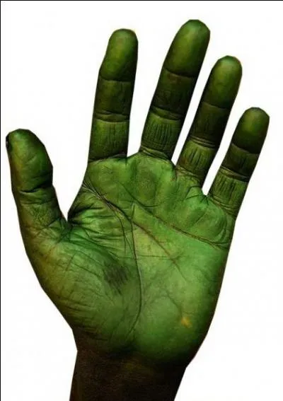 Qui chante "La Main verte" ?