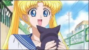 Luna est venue me voir pour m'annoncer que j'étais la forme guerrière de l'ancienne princesse de la Lune. Moi, une adolescente de 14 ans, vous y croyez ? Qui suis-je ?