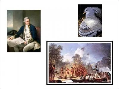 En 1774 James Cook est le premier européen à poser le pied sur une terre qu’il appelle New Caledonia car, dit-on, l’aspect des côtes lui aurait rappelé …