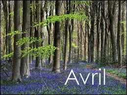 On la fête le 20 avril. Elle fut fleur bleue avant de se faire connaître au bal des casse-pieds, mais dans les années 60, elle ne quittait pas Pierre-Louis, voilà ce qui arrive quand on est deux !