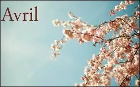 Sa fête est le 30 avril, aussi petit soit-il il nous apprend bien des mots !