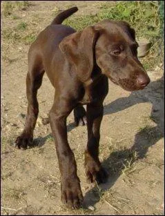 On a envie de lui faire un câlin et pourtant c'est un...