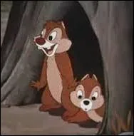 Encore plus fou que ces deux-là !