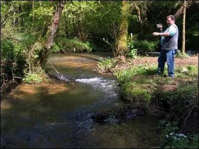 La Marche est une rivière qui naît entre Florenville et Mogues, où coule-t-elle ?