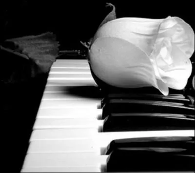 Quel nom porte le 3e mouvement de la sonate n° 2 en si bémol mineur, de Chopin ?