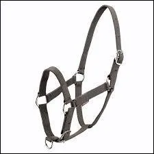 Qu'est ce ?(sur l'image)