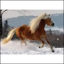 Comment peut-on changer de main ?