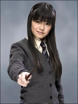 Quelle équipe de Quidditch Cho supporte-t-elle ?