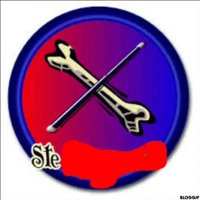 Comment s'appelle l'hôpital pour les blessures magiques ?