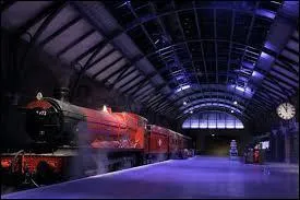 Nous voici sur le quai du Poudlard express, qui n'est pas, il faut bien le dire, le plus facile à trouver pour nous, moldus ! Quelles assertions sont vraies sur ce quai ?