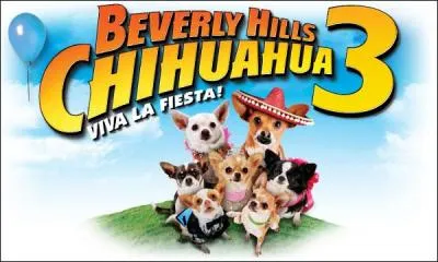 Quel est le grand talent de Chloé ?