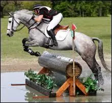 Quels sont les obstacles de cross ?