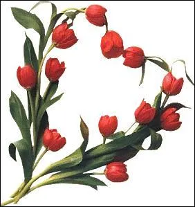 Jour 4. Plante bulbeuse cultivée pour ses fleurs.