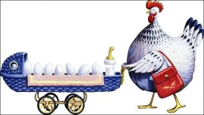 Jour 5. Volaille de basse-cour élevée pour ses ufs et sa chair.