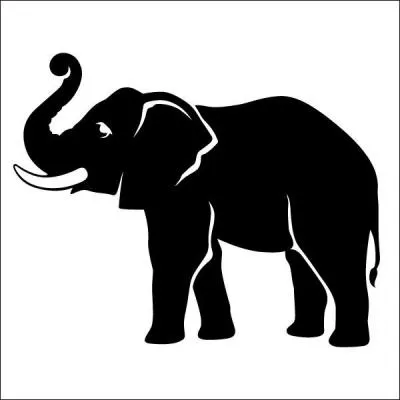 Pourquoi les éléphants sont-ils abattus ?