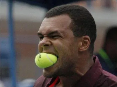 Sport - Qui s'est incliné en finale de l'Open d'Australie en 2008 ?