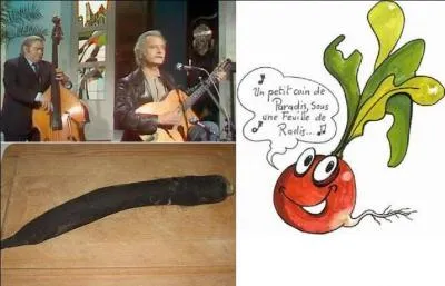 Cette chanson n'est pas à mettre dans toutes les oreilles, elle est plutôt osée. Elle parle d'insertion d'objets dans une partie fondamentale du corps qui ne sont pas des « toys » ! Quelle est-elle ?