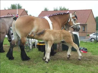Laquelle de ces réponses est une règle de sécurité ?