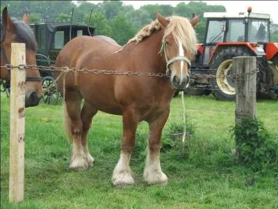 Quelle brosse n'existe pas ?