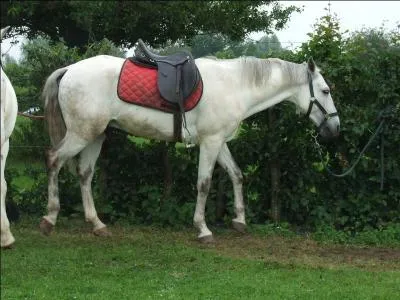 Connais-tu les règles a suivre lorsque tu participes à une reprise ?