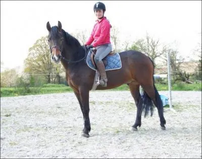 Quelles sont les aides artificielles ?