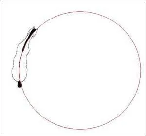 Le cheval est-il incurvé ?