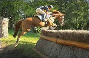 Quel est le nom de cet obstacle ?