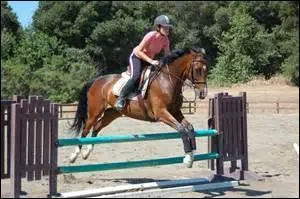 Combien il y a-t-il de phases dans le saut ?