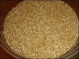 Quel est l'ordre de distribution de nourriture ?