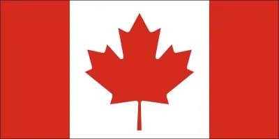 A quel pays correspond ce drapeau ?