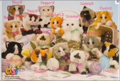 Cette question est simple et directe, que voyez-vous sur la photo ?