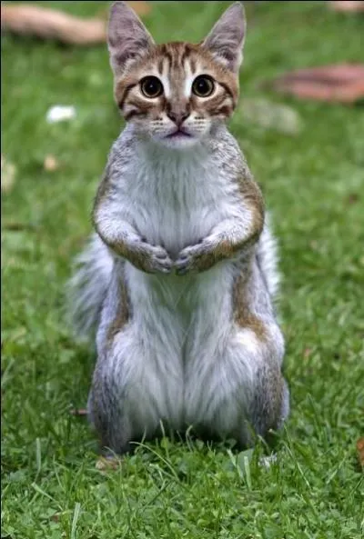 Un croisement incroyable, qui vient d'être découvert par les chercheurs du muséum d'histoire naturelle !