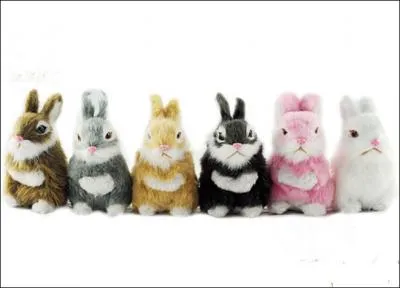 Comme vous le voyez, cette image comporte une particularité !