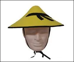 Lorsqu'il est irritable, c'est le fonctionnement général du ... qui est perturbé.