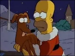 Petit Papa Noël est le chien de la famille Simpson, Homer et Bart l'avait trouver lors d'une course de lévriers, son propriétaire l'a jeté à la rue, car il avait terminé dernier.