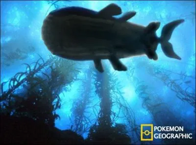 Wailord est considéré comme le Pokémon le plus massif, mais connaissez-vous ses véritables proportions ?