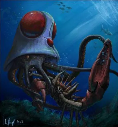 Tentacruel est :
