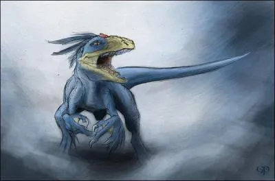 Quel est le paradoxe d'Akwakwak ?