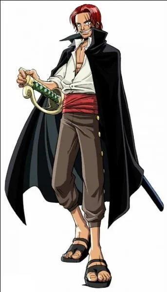 Qui est le meilleur ami de Luffy ?