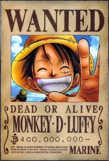 Quel est le premier avis de recherche pour Monkey.D Luffy ?