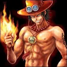 Quel fruit du démon le frère de Luffy a-t-il mangé ?