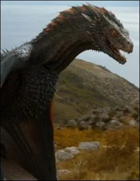 Dragon de Daenerys aux écailles noires et rouges, il s'agit de  :