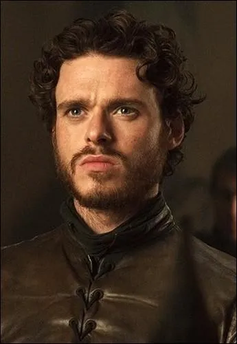 Fils de Ned Stark et roi du Nord pendant la Guerre des 5 rois, il s'agit de  :