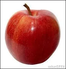 Quel est ce fruit ou légume ?